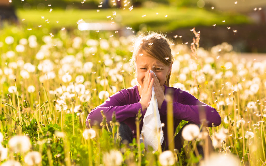 Trápí vás jarní alergie? Poznejte její příčinu